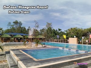 bulasa mangrove resort argao